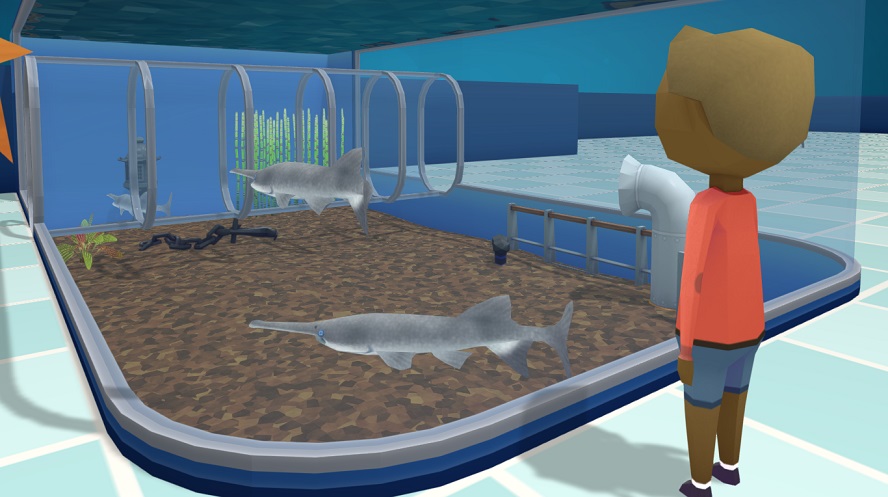 Een Bezoeker bekijkt een Tunnel-Aquarium met drie Amerikaanse Lepelsteuren.