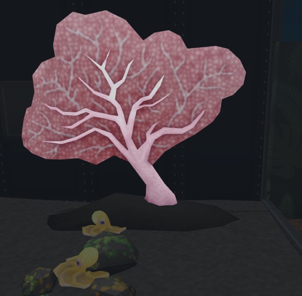 Een groot, roze Bubblegum-Koraal met twee kleinere Dumbo-Octopussen op de voorgrond.