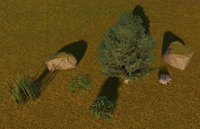 In de Taiga is het koud en redelijk droog.