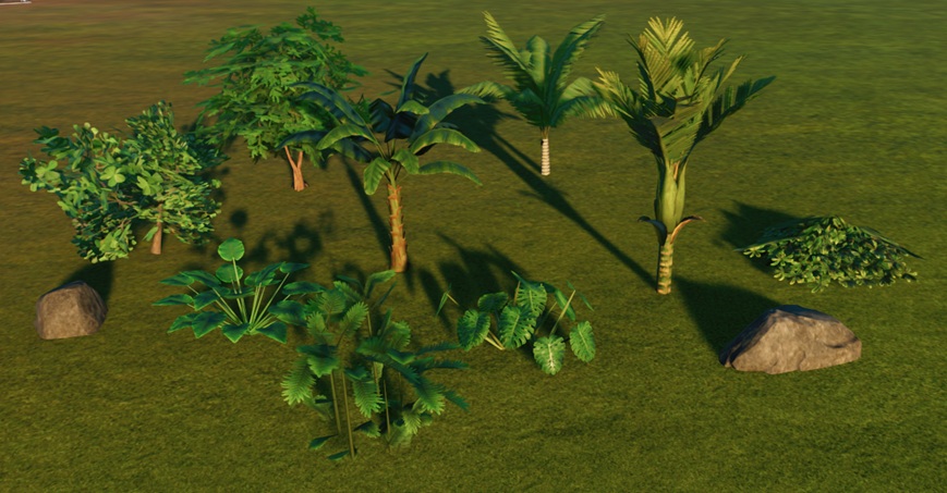 Een ochtend in de Tropen...