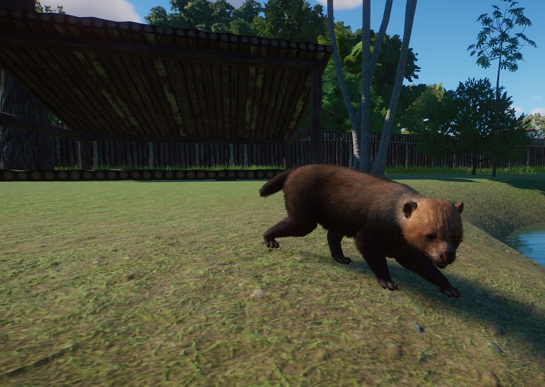 Anders dan de meeste andere Roofhonden uit het spel, wil de Boshond graag Water in zijn Verblijf. Het is dan ook een goede zwemmer.