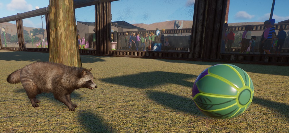 Een Japanse Wasbeerhond nadert een speelbal van links. Achteraan lopen Bezoekers voorbij de Verblijfsmuur.