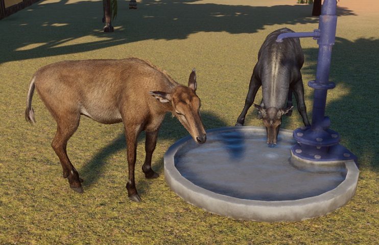 Twee Nijlgaus drinken aan een Drinkfontein. Links een vrouwtje, rechts een mannetje.