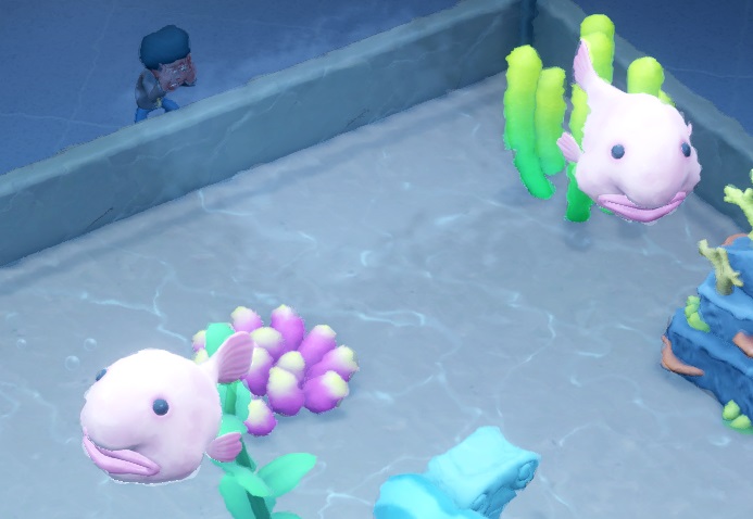 Twee Blob Fishes met hun typisch gezwollen uiterlijk. Blob Fishes zijn bleekroze van kleur. Linksboven tuurt een Kind door de Aquariumwand. Sponzen, planten en rotsen zijn op de bodem zichtbaar.