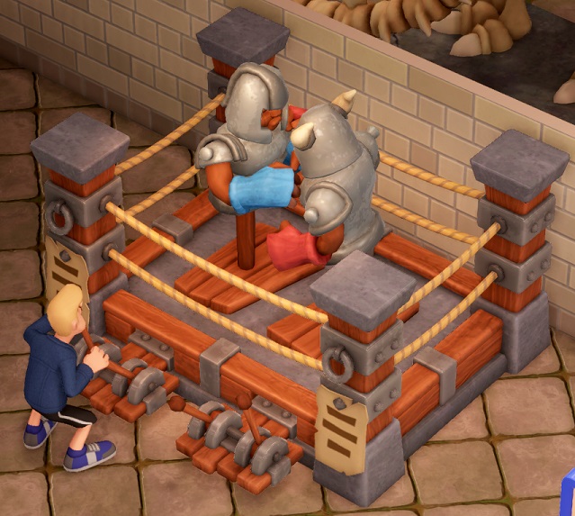 Een installatie die een boksring omvat, uit steen en hout gemaakt. In de ring boksen twee torso's die ridders voorstellen, tegen elkaar. Voor de ring bedient een Bezoeker de linker ridder met hefbomen.