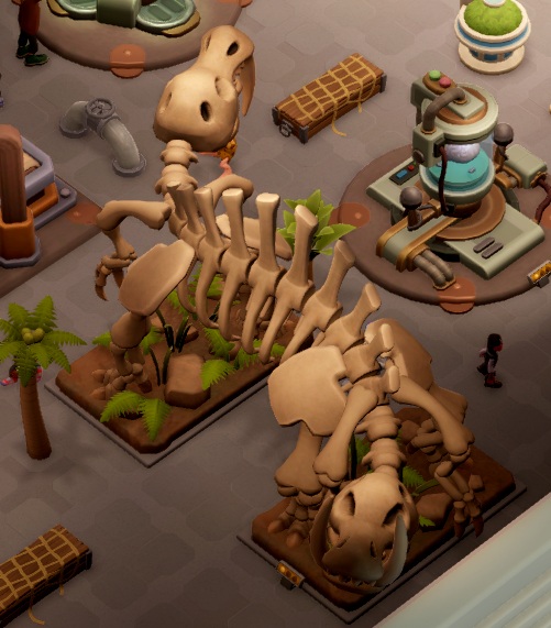 Een Tugowaurus Skelet is eigenlijk een 'Siamese Tweeling' met twee hoofden en géén achterwerk. Het geraamte is zo groot, dat Bezoekers in het midden gewoon onder de ribbenkast kunnen doorlopen.